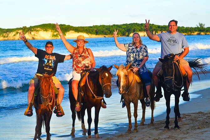 Buggy, horse and plantation ranch - What’s Included: WiFi, Private Transport, Snacks, and Making Drinks Together