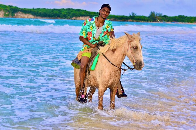 Buggy, horse and plantation ranch - Should You Book This Ranch + Horse Ride in Punta Cana?