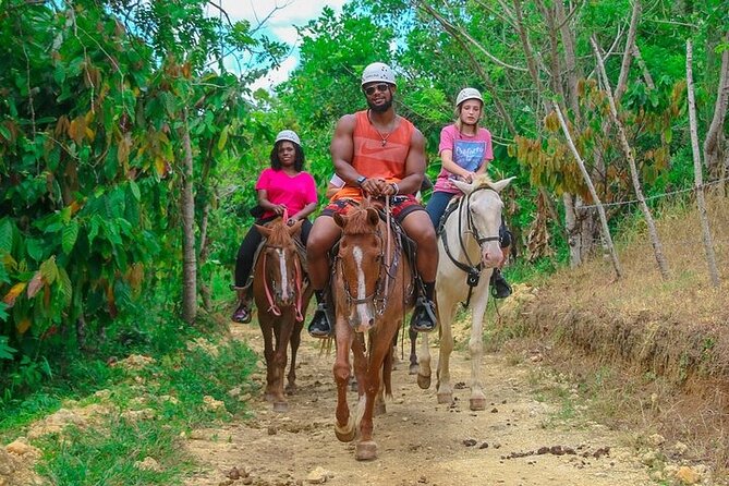 Buggy, Horse and Zip Line with Lunch included from Punta Cana - Value and timing: is $99 a smart use of a Punta Cana day?