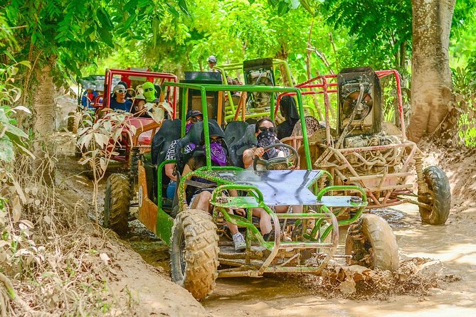 Buggy Horses and Zip Line from Punta Cana with Lunch Included - Stop 2 at Macao Beach: Zip Line Over 8 Carbon Lines Plus a Tree-Bridge