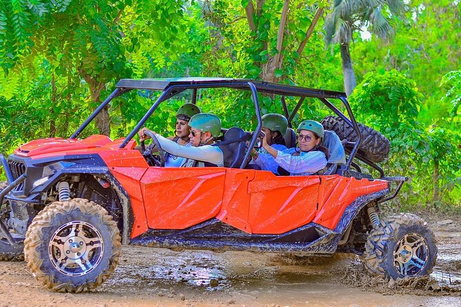 Buggy Horses and Zip Line from Punta Cana with Lunch Included - Doing All Three vs. Choosing One: How to Pick Your Best Day