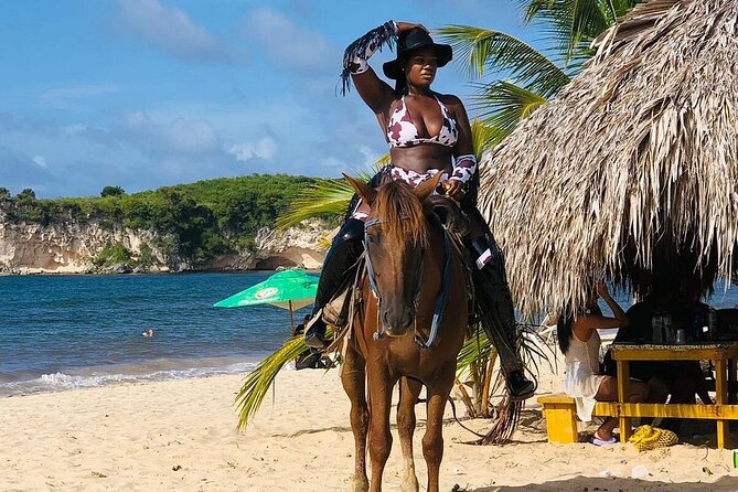 Buggy Horses and Zip Line from Punta Cana with Lunch Included - What’s Included: Lunch, Water, and Private Transportation (The Stuff That Saves You)