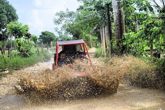 Buggy Off-Roading with Chocolate and Coffee Tasting in Punta Cana - Who This Tour Suits Best (And Who Might Think Twice)