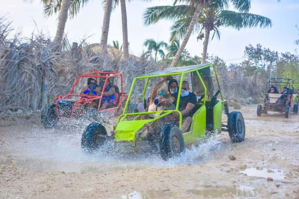 Buggy ride on rural routes and Macao Beach - Timing, speed, and group size: what your body will notice