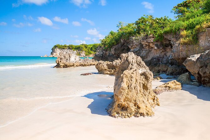 Buggy Tour of the Dominican Countryside + Beach and Local Culture - Stop 5: back at the ranch with showers and a clean landing