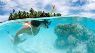 Catalina Island: Day Trip - Best Snorkeling! - Getting From Bávaro: The Transfers That Make or Break the Day