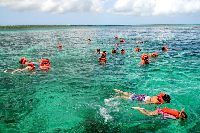 Catalina Island DayTrip + Great Snorkeling - Key Points You Should Know