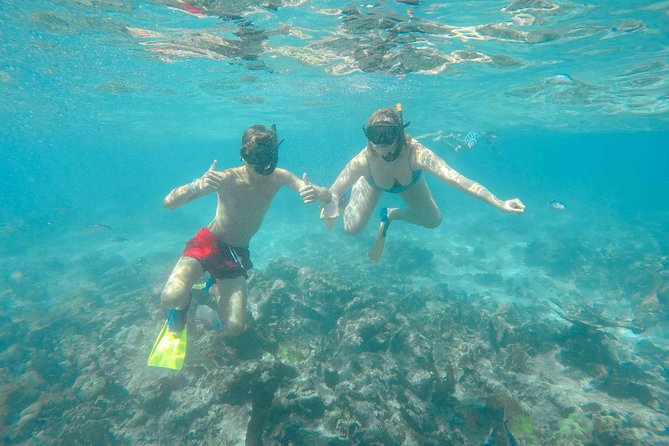 Catalina Island - Full Day All Inclusive Experience - The Punta Cana to La Romana Ride: Sugar Cane Scenery and Why Timing Can Feel Long