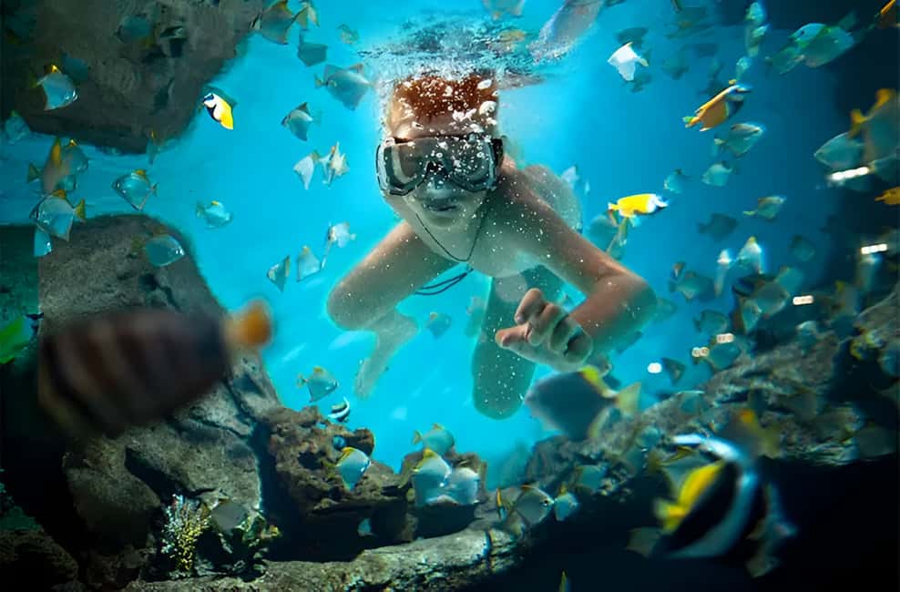 Catalina Island Full-Day Snorkeling + Lunch from Punta Cana - Key things to know before you go