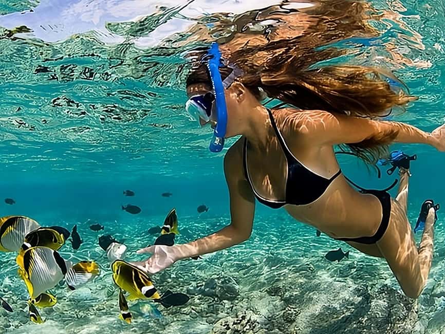Catalina Island Full-Day Snorkeling + Lunch from Punta Cana - The buffet lunch and open bar: good value, watch for timing