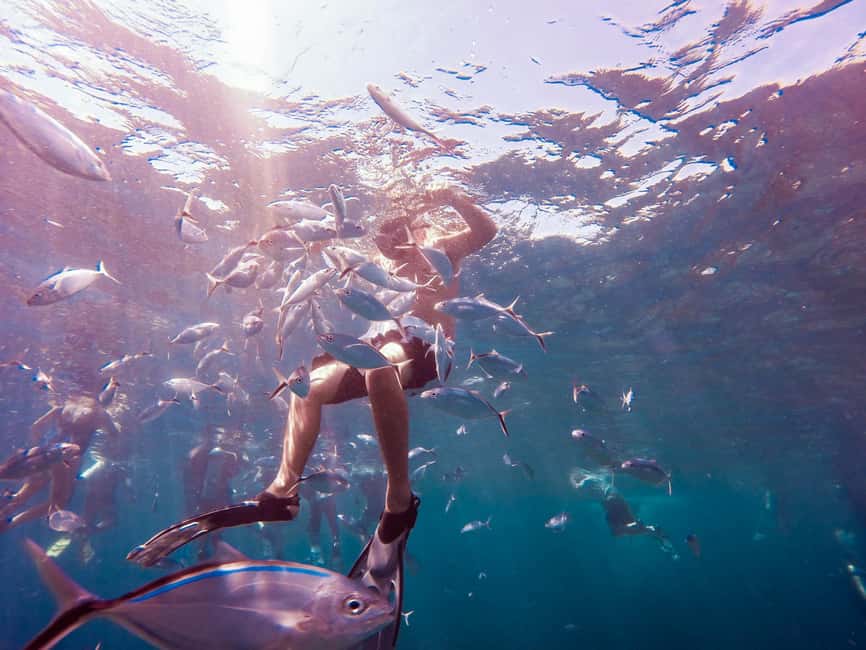 Catalina Island Full-Day Snorkeling + Lunch from Punta Cana - The Punta Cana area to La Romana and Rio Cumayasa transfer