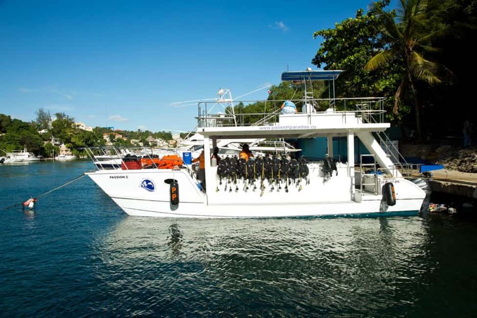 Catalina Island Scuba Diving Tour from Punta Cana - Catalina Island Scuba Trip: The Big Picture