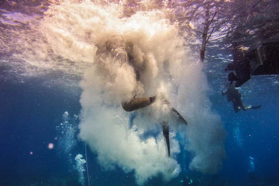 Catalina Island Scuba Diving Tour from Punta Cana - What to Bring and What to Know Before You Go