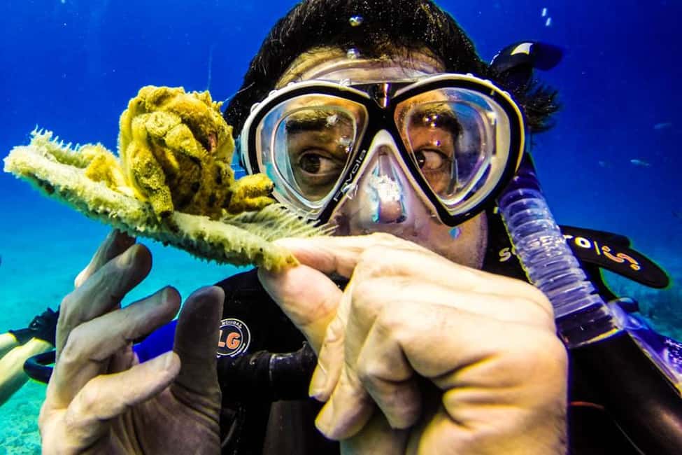 Catalina Island Scuba Diving Tour from Punta Cana - Getting There from Punta Cana and La Romana: Plan for the Time