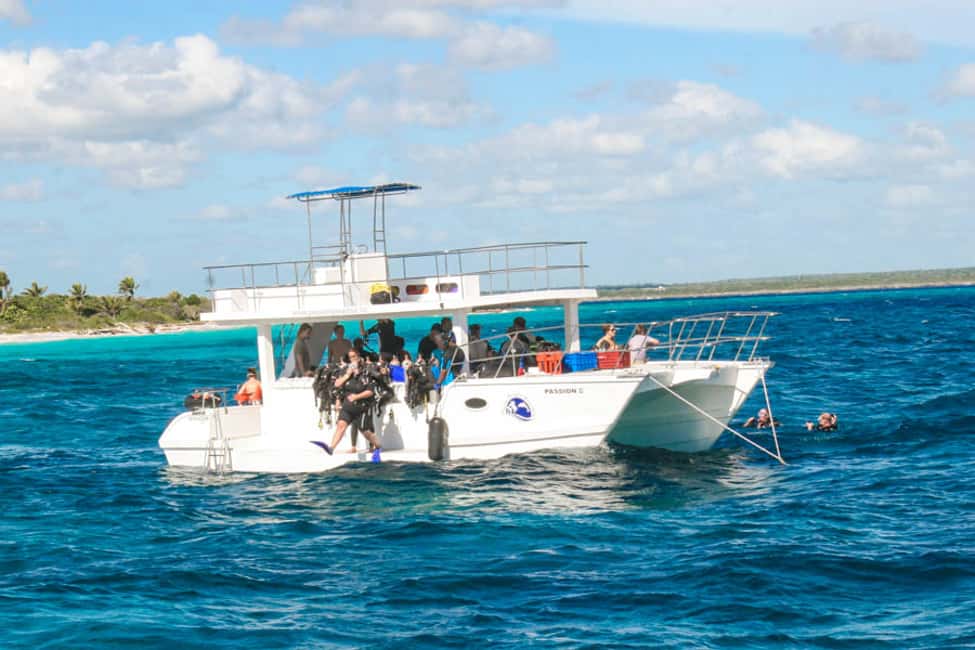 Catalina Island Scuba Diving Tour from Punta Cana - Underwater Time at The Wall (East Side): A Real Caribbean Feel