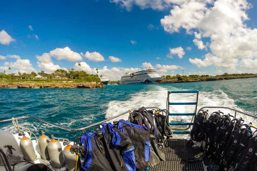 Catalina Island Scuba Diving Tour from Punta Cana - Price and Value at $175: What You’re Paying For
