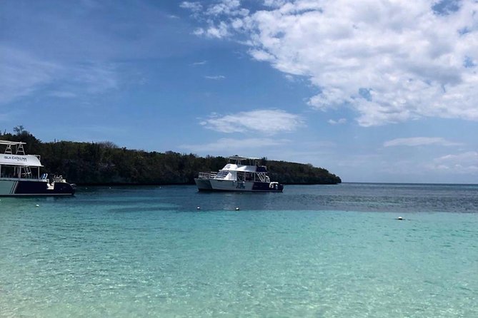 Catalina Island Snorkeling: Explore its Crystal Clear Waters - Isla Catalina beach hours: lunch, swimming, and included drinks