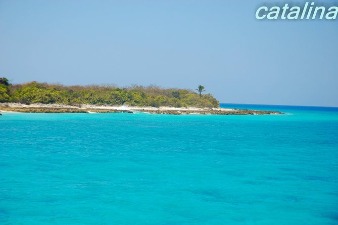 Catalina Island & Snorkeling Tour - Catalina Island Arrival: Beach Break, Then Snorkel Gear On