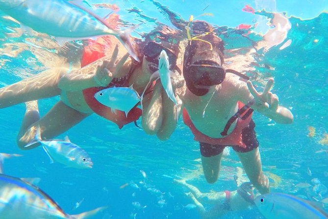 Catalina Island & Snorkeling Tour - Lunch, Open Bar Drinks, and Merengue/Bachata Lessons