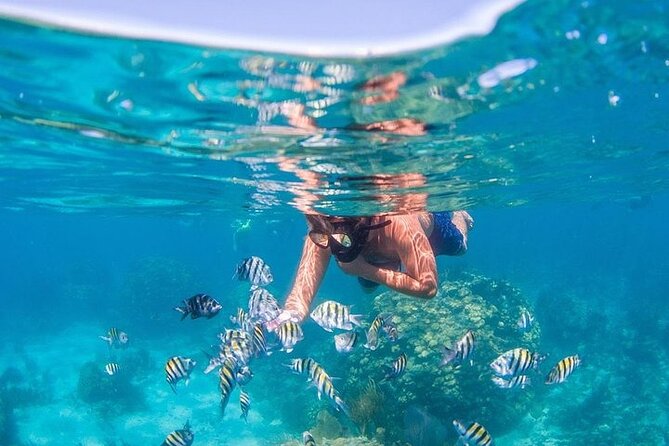 Catalina Island & Snorkling Tour Full Day All Inclusive - A Full Day on the Water, With Snacks and Drinks