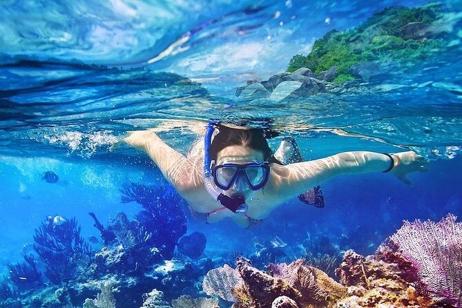 Catalina Island & Snorkling Tour Full Day All Inclusive - First Water Stop: Multiple Snorkel Sites Around Punta Cana