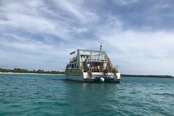 Catalina Island & Snorkling Tour Full Day All Inclusive - Transportation Details: Small Van, Big Day, and Occasional Chaos