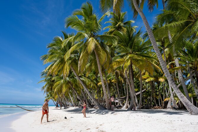 Catalina Sailing Experience in Punta Cana with Food and Drinks - Snorkeling at Muro de Coral: What You’re Paying For Underwater
