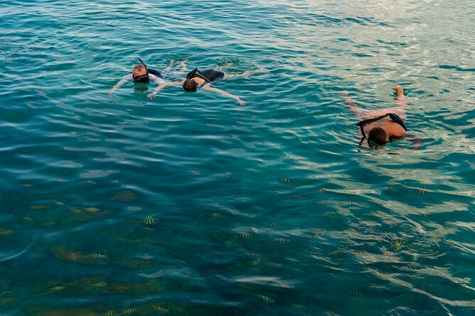 Catalina Sailing Experience in Punta Cana with Food and Drinks - Sail Over to Saona: The Calm Before the Beach