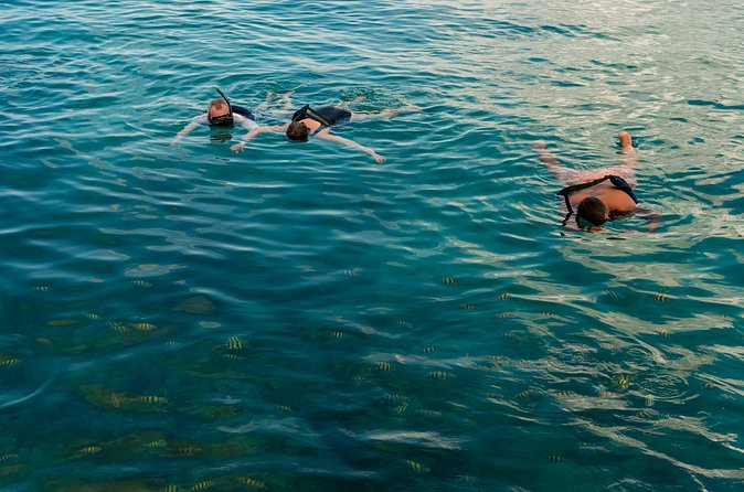 Catalina Sailing Experience in Punta Cana with Food and Drinks - Guides and Safety: The Difference Between Seeing It and Getting It