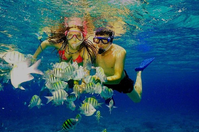 Catamaran Catalina Island Day Trip with Lunch - Punta Cana to Catalina Island: what makes this day trip work