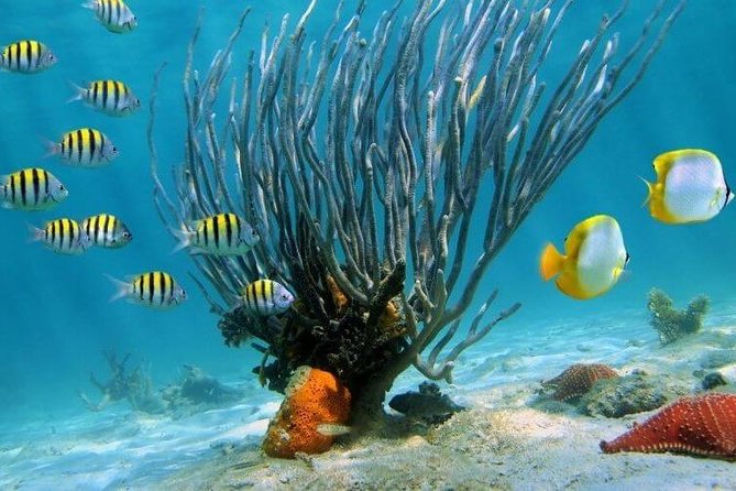 Catamaran Catalina Island Day Trip with Lunch - Catalina Island beach time: private beach, shade, and lunch you can actually enjoy