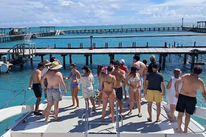 Catamaran party in Punta Cana with open bar, music and more - Stop 2: Arrecife de Coral Snorkeling for Marine Life