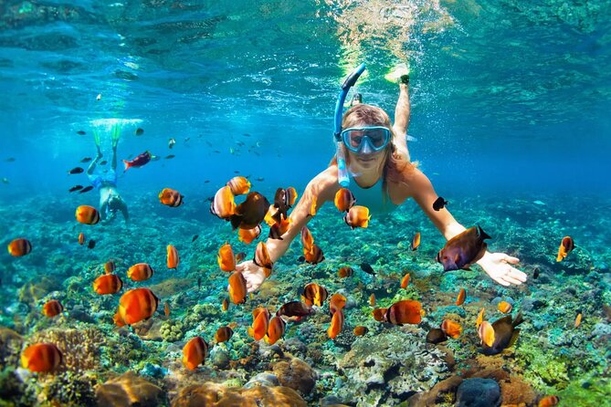Catamaran Party in Punta Cana with Unlimited Drinks - The swim and snorkel window: what you’re really paying for