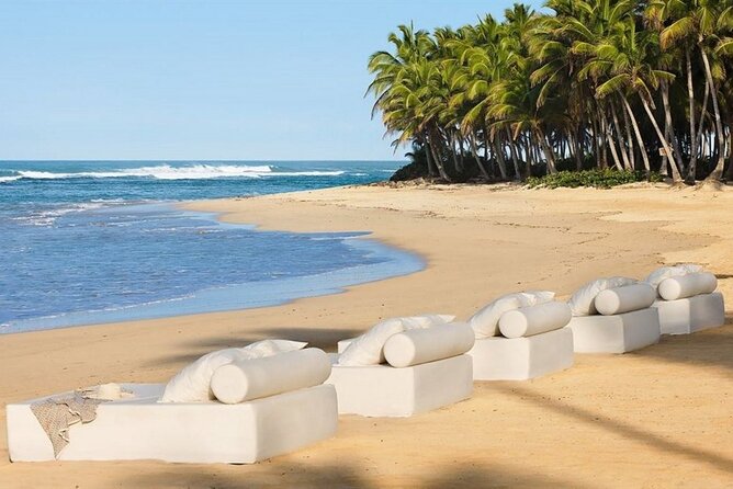 CHIC by Royalton All Exclusive Resort - Round Trip Shuttle - Punta Cana Airport - Flight Tracking and Pickup Timing: The Real Stress Test