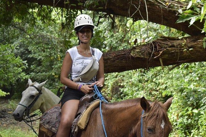 City Tour with Horseback Riding, Zipline, and Dune Buggy at the Countryside - Zipline Circuit: 8 Lines, a Suspension Bridge, and Views You Can’t Fake