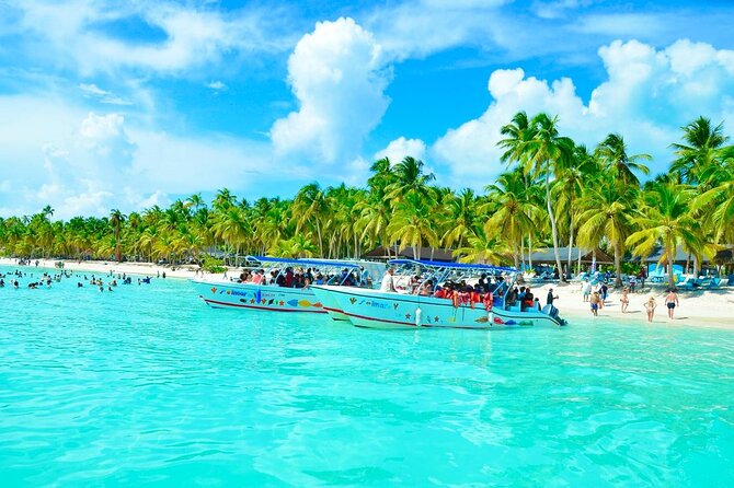 Day Trip to Saona Island with Lunch and Open Bar - Key highlights to know before you go