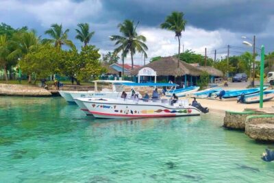Day Trip to Saona Island with Lunch and Open Bar - Palmilla Beach: white sand and clear-water downtime
