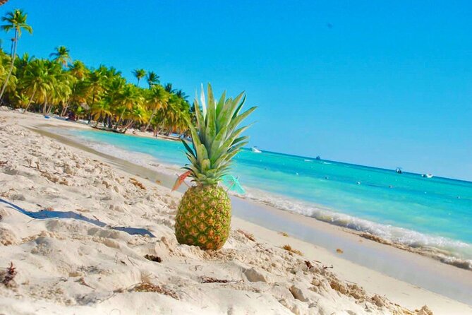 Day Trip to Saona Island with Lunch and Open Bar - Eastern National Park tour: protected nature without the hard sell