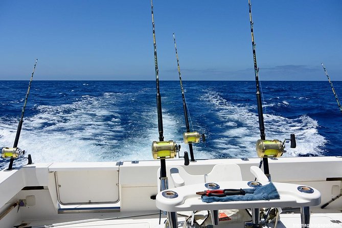Deep Sea Fishing Tour - Punta Cana deep-sea fishing with a small-group feel