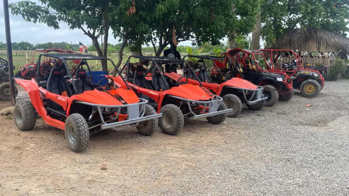 Discover Punta Cana Tour Buggy & ATV Tour Macao Beach Cenote - Who will love this tour most (and who should think twice)