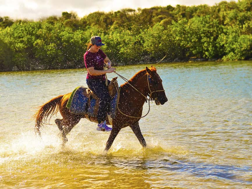 Discover the Trails of Punta Cana on a Horseback Ride - What You’ll Actually Do on the Beach: Trotting, Galloping, and Guided Control