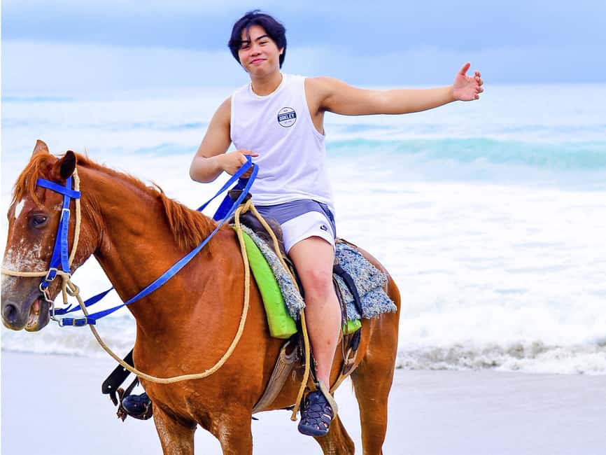 Discover the Trails of Punta Cana on a Horseback Ride - Price and Value: Is $40 Worth It?