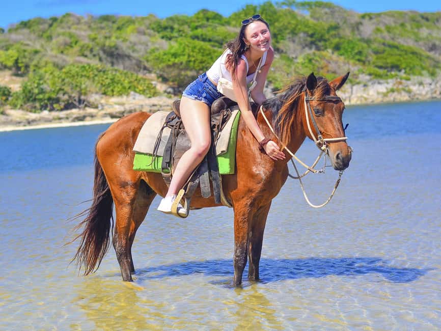 Discover the Trails of Punta Cana on a Horseback Ride - What to Bring (and What to Skip) for a Smooth Beach Ride