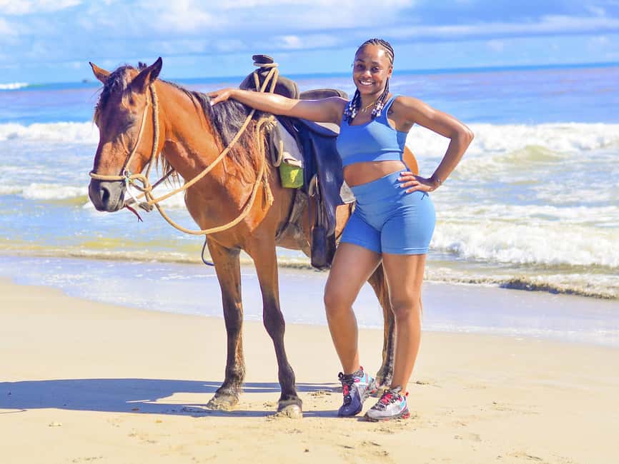 Discover the Trails of Punta Cana on a Horseback Ride - The Ride Plan: Pickup, Macao Stops, and Time to Breathe