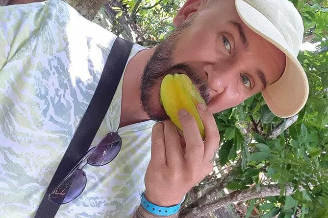 Discovery DE the real Dominican Republic EN small committee. - Anamuya Coffee and Cocoa Plantation: Where Tasting Gets Explained