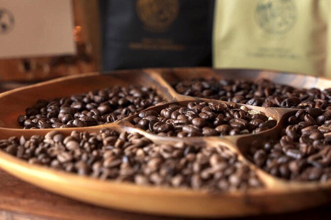 Dominican Coffee Tasting and Pairing Experience - Brew methods you’ll try: Turkish, V60, espresso, and machine coffee