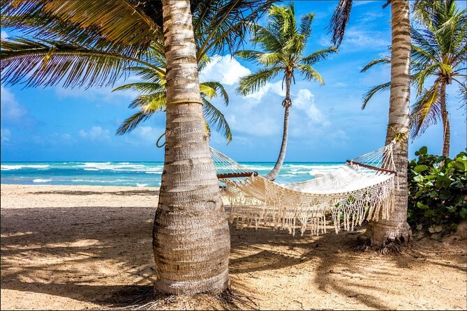 Dominican countryside, culture and beach escape with lunch - The Drive Itself: Mountains, Rural Schools, and Farm Life