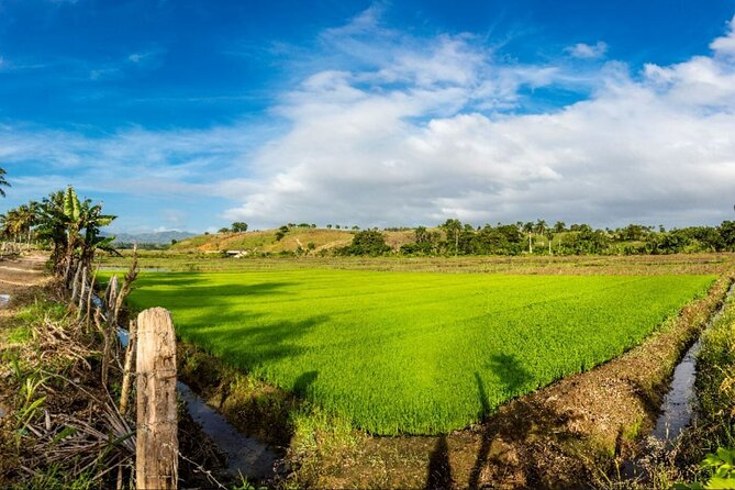 Dominican countryside, culture and beach escape with lunch - Beach Stop in Punta Cana: Short, Sweet, and Scheduled
