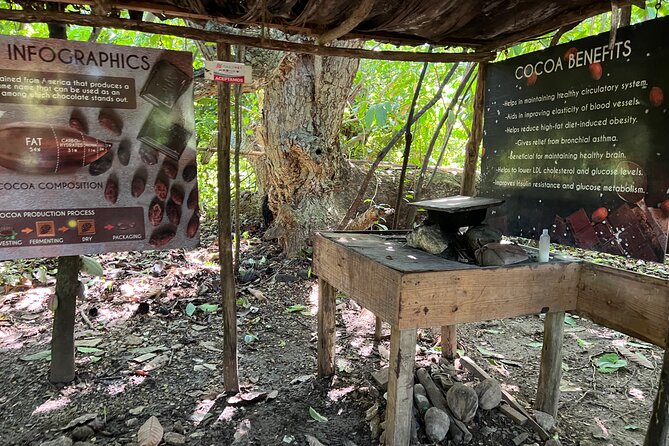 Dominican Culture Tour - Stop 4: Rancho Real Cigars and rolling your own souvenir