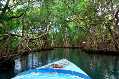 Dreams Flora Resort - Round Trip Shuttle - Punta Cana Airport - What You Really Get for the $71 Per Group
